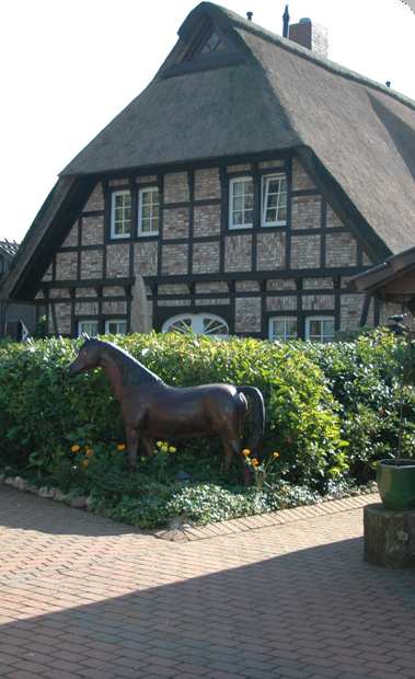Reitponystation