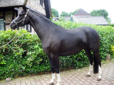 Fantasie