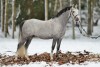 2016_01_Ganzkörper_Fotoshooting bei Müller